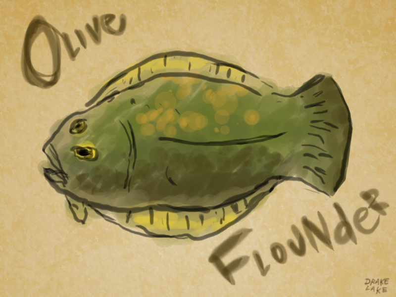 The Oliver Flounder